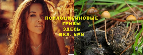 марки lsd Рославль