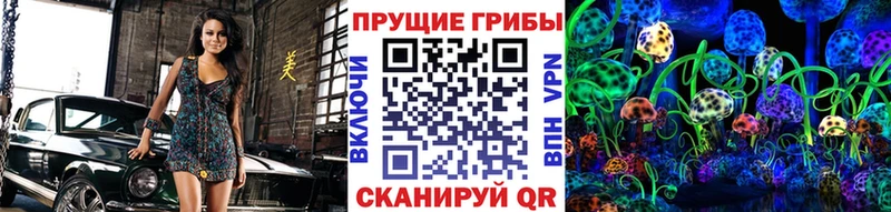 mega маркетплейс  купить закладку  Новокузнецк  Псилоцибиновые грибы ЛСД 