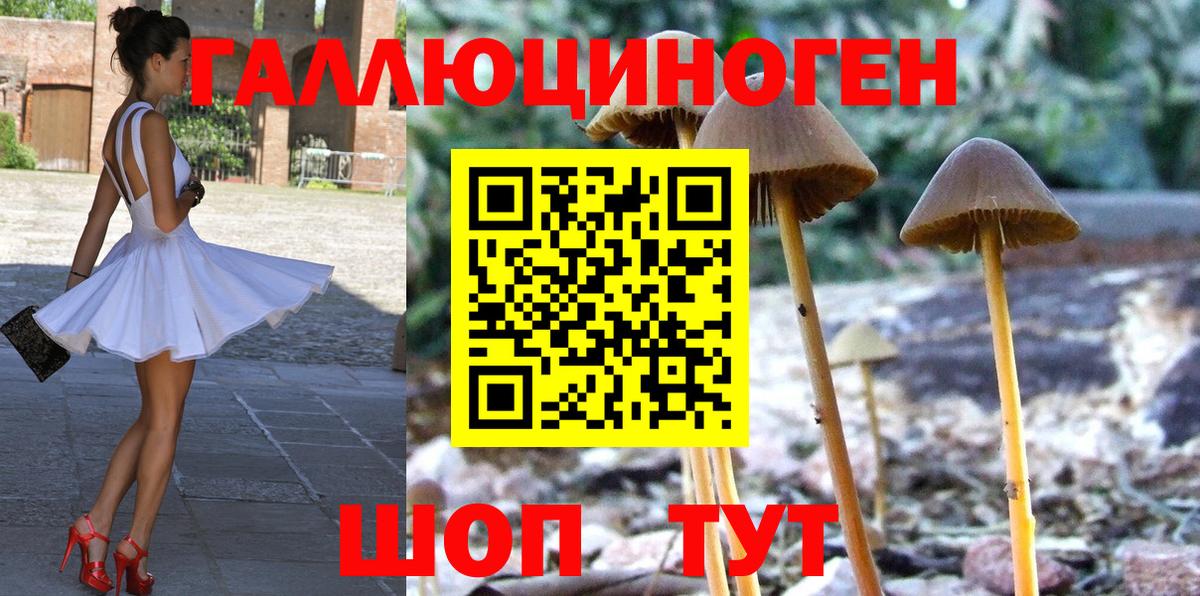 Псилоцибиновые грибы мицелий Новокузнецк