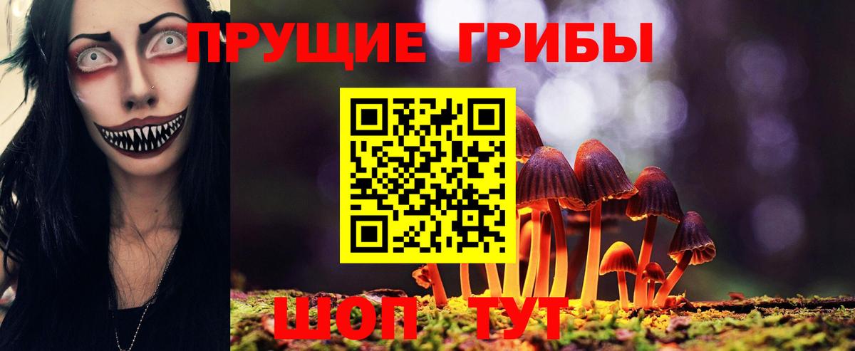 Галлюциногенные грибы MAGIC MUSHROOMS  Вход с VPN  Новокузнецк  купить наркоту  Галлюциногенные грибы мухоморы 
